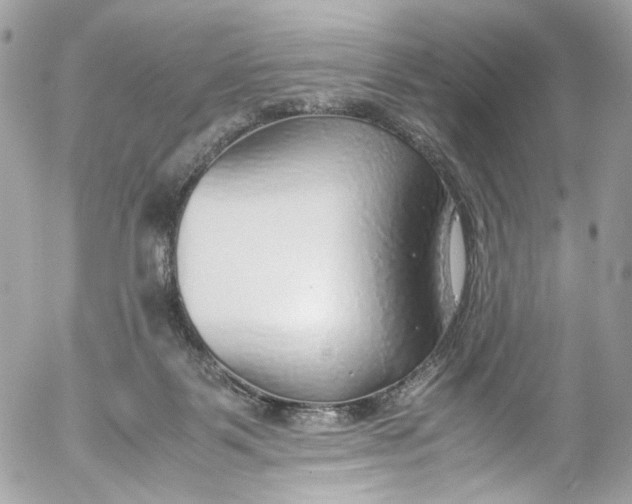 X0000052550123200507221501