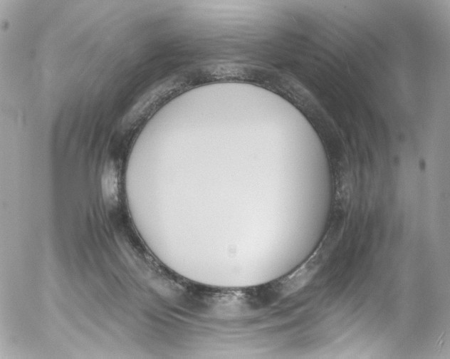 X0000052550124200507221501