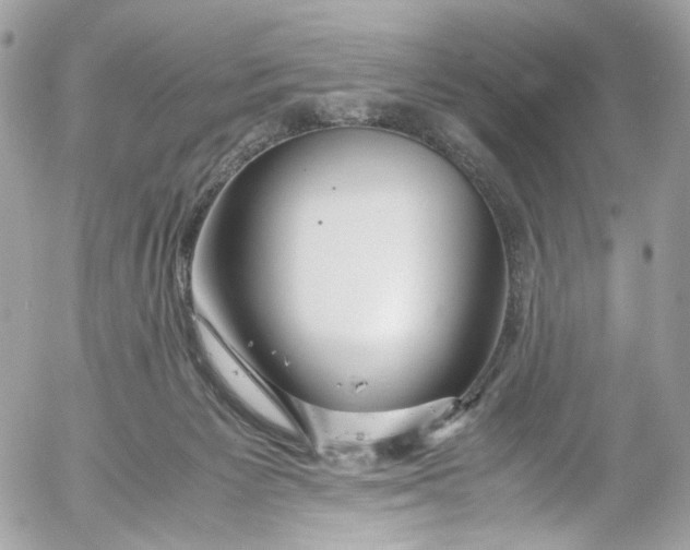 X0000052550125200507221501