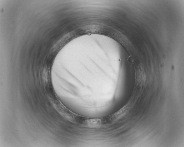 X0000052550126200507221501