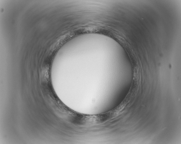 X0000052550127200507221501