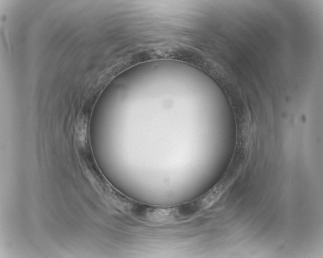 X0000052550129200507221501