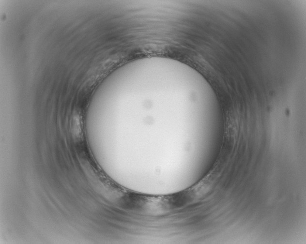 X0000052550130200507221501