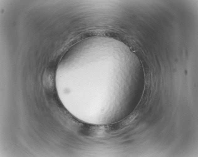 X0000052550131200507221501