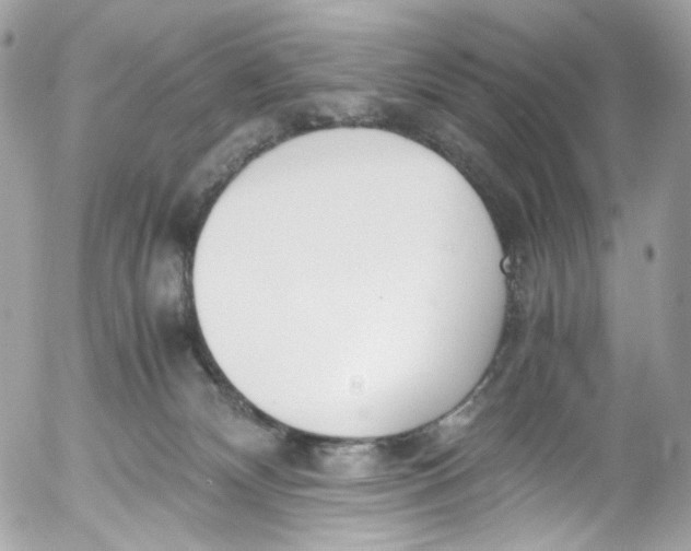 X0000052550132200507221501