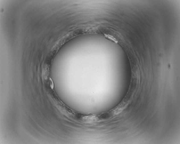 X0000052550133200507221501