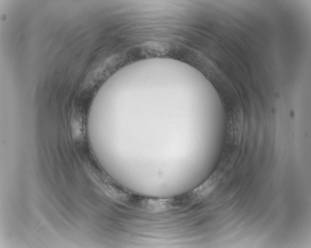 X0000052550134200507221501