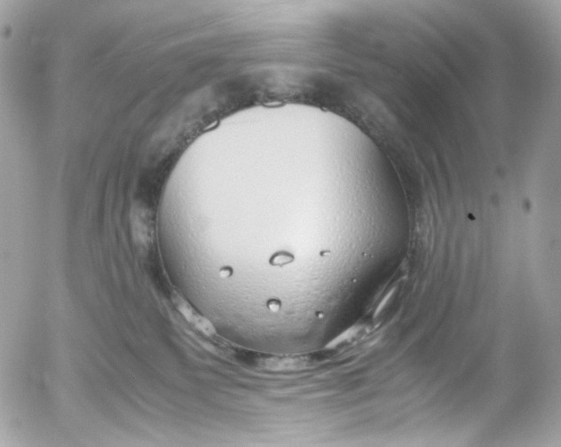 X0000052550135200507221501