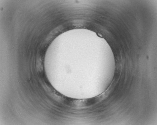 X0000052550136200507221501