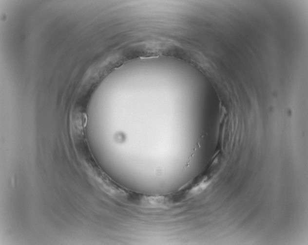 X0000052550137200507221501