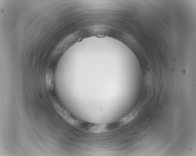 X0000052550138200507221501