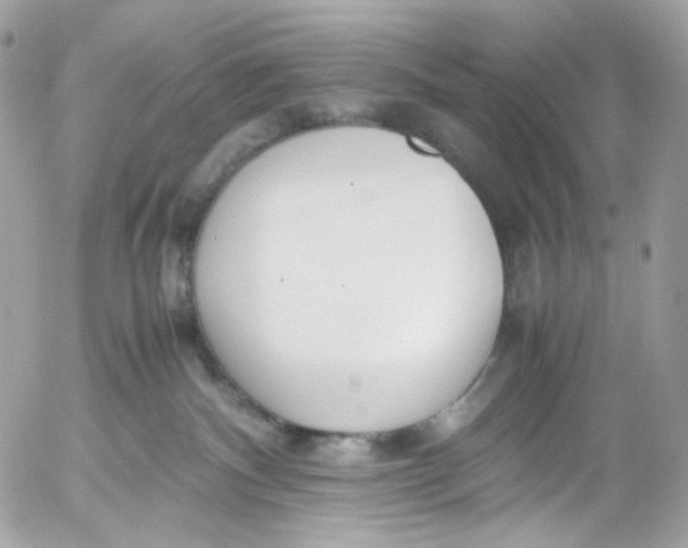 X0000052550140200507221501