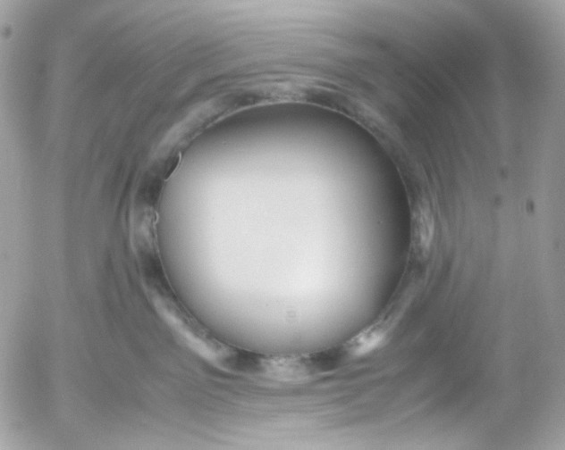 X0000052550141200507221501