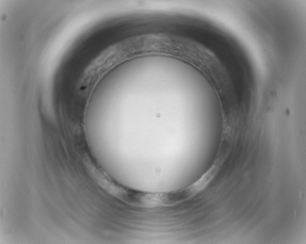 X0000052550142200507221501