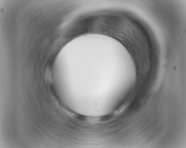 X0000052550143200507221500