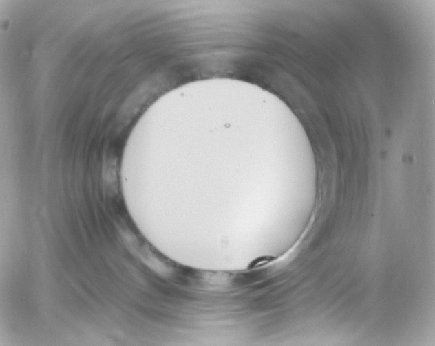 X0000052550144200507221500