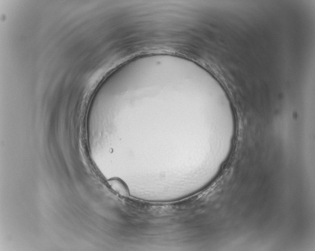 X0000052550145200507221500