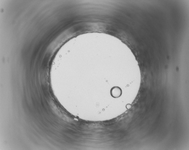 X0000052550146200507221500