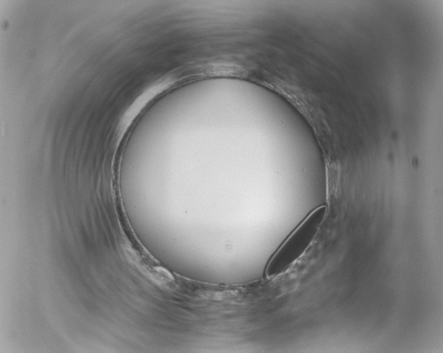 X0000052550147200507221500