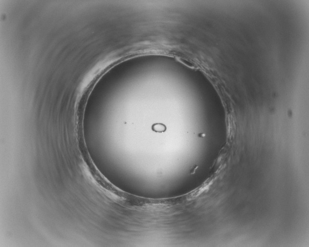 X0000052550150200507221500