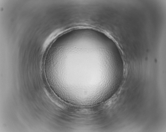 X0000052550151200507221500