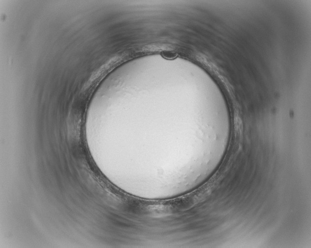 X0000052550153200507221500