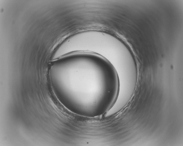 X0000052550154200507221500