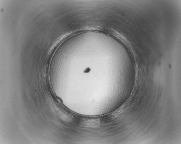 X0000052550155200507221500