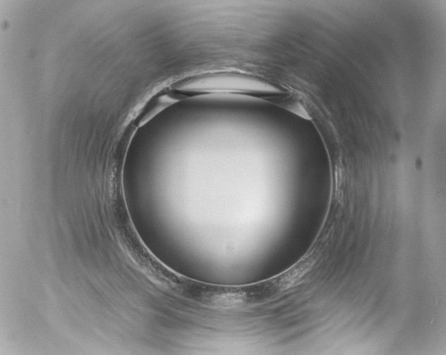 X0000052550156200507221500