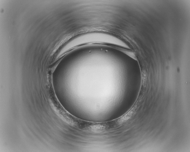 X0000052550158200507221500