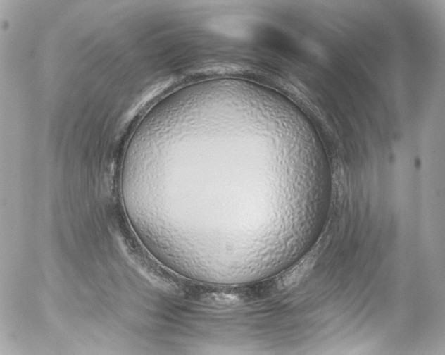 X0000052550159200507221500