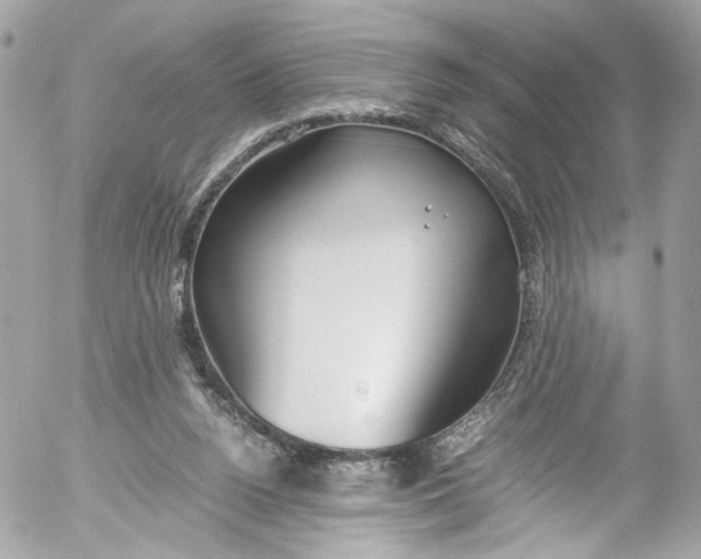 X0000052550160200507221500