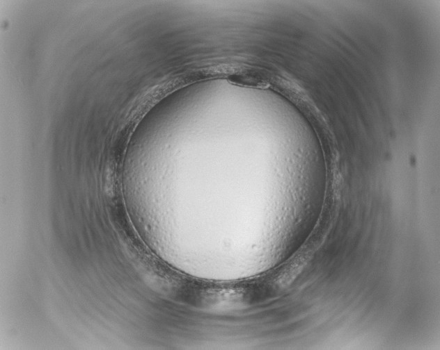 X0000052550161200507221500