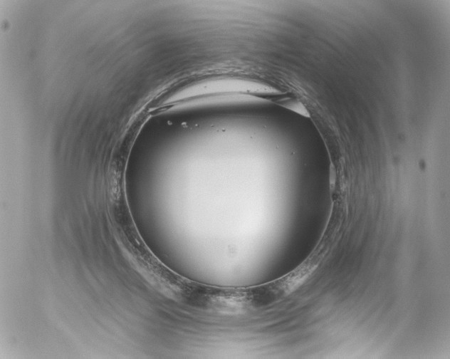 X0000052550164200507221500