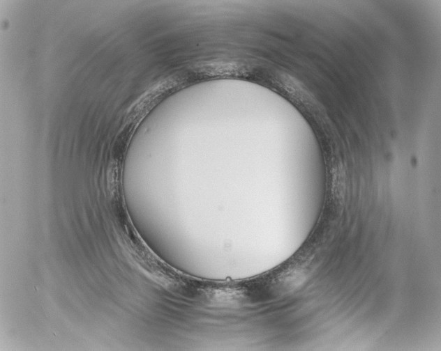 X0000052550165200507221500