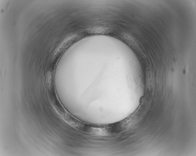 X0000052550167200507221500