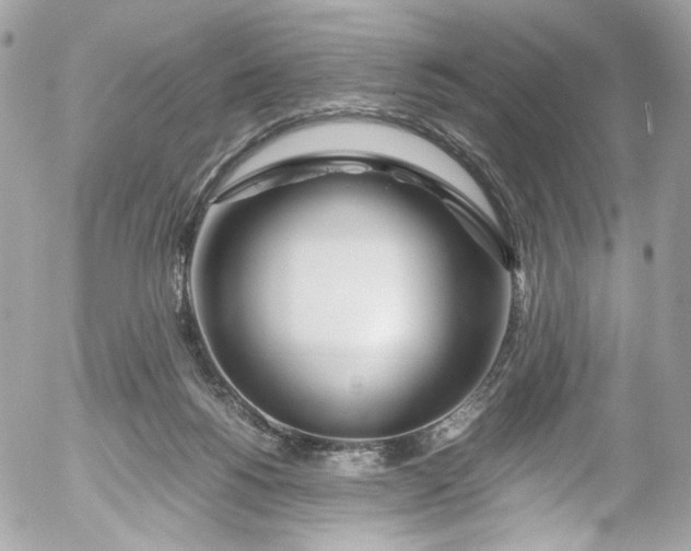 X0000052550168200507221500