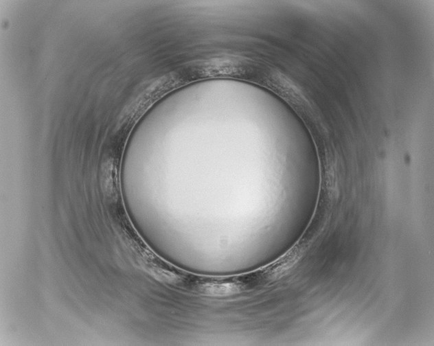 X0000052550169200507221500