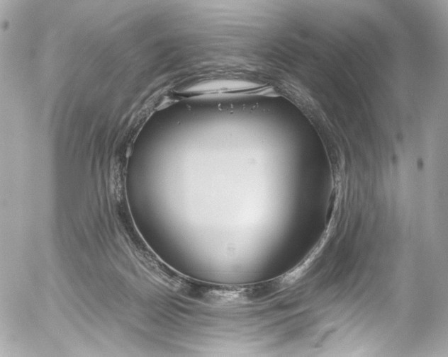 X0000052550170200507221500