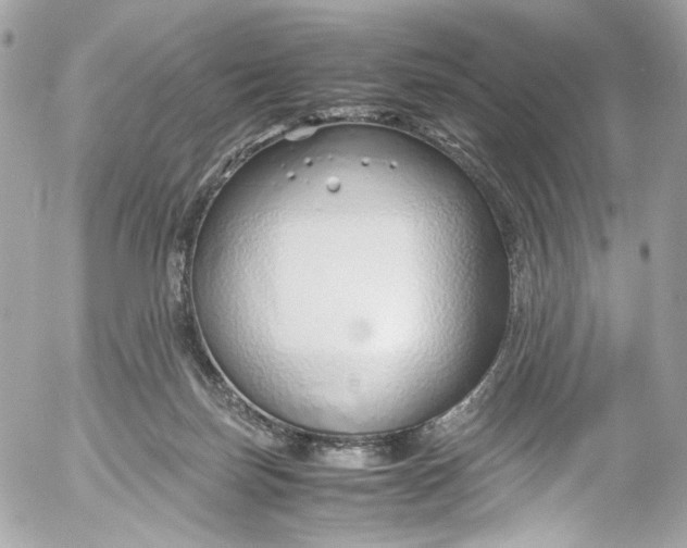 X0000052550171200507221500