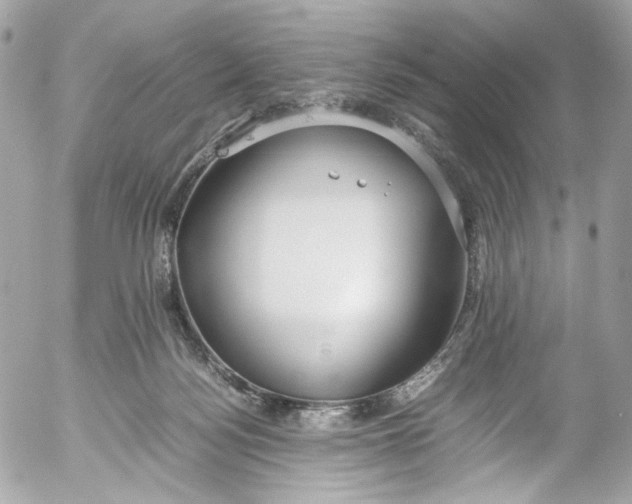 X0000052550172200507221500