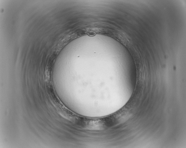 X0000052550173200507221500