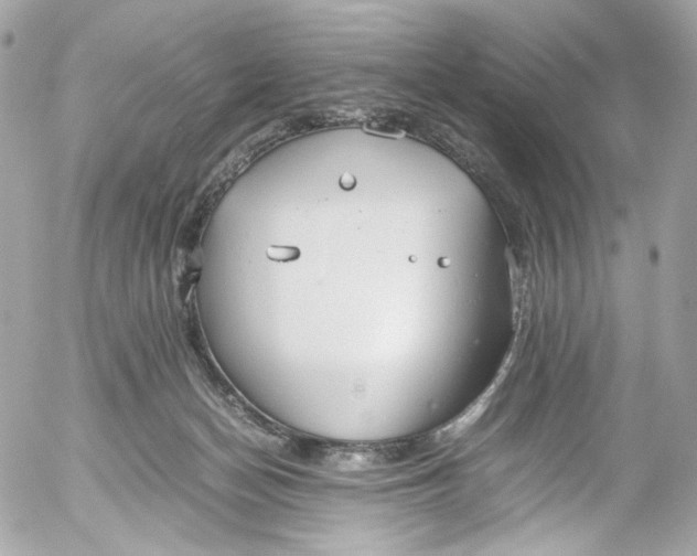 X0000052550174200507221500