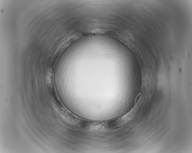 X0000052550175200507221500