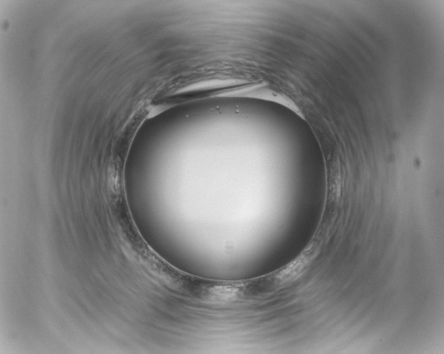 X0000052550176200507221500