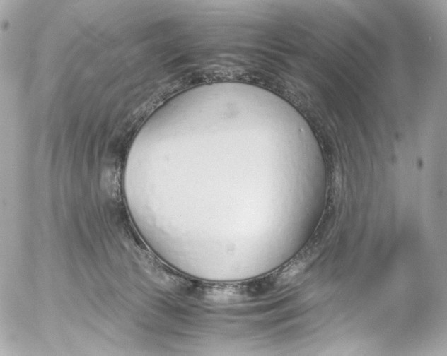 X0000052550177200507221500