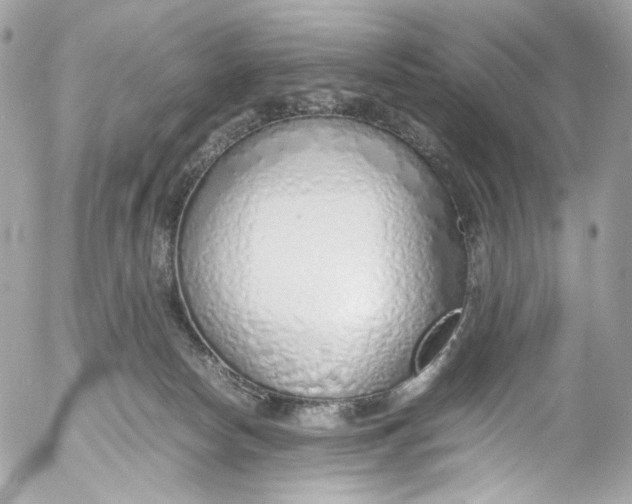 X0000052550178200507221500