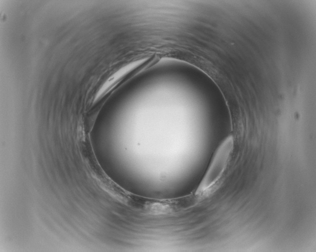 X0000052550180200507221500