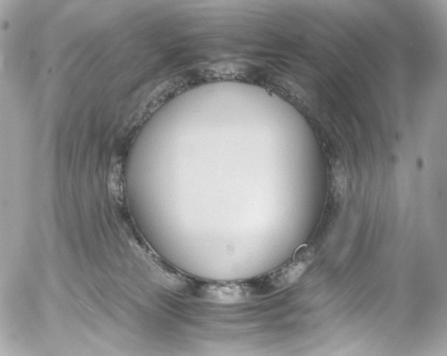 X0000052550181200507221500