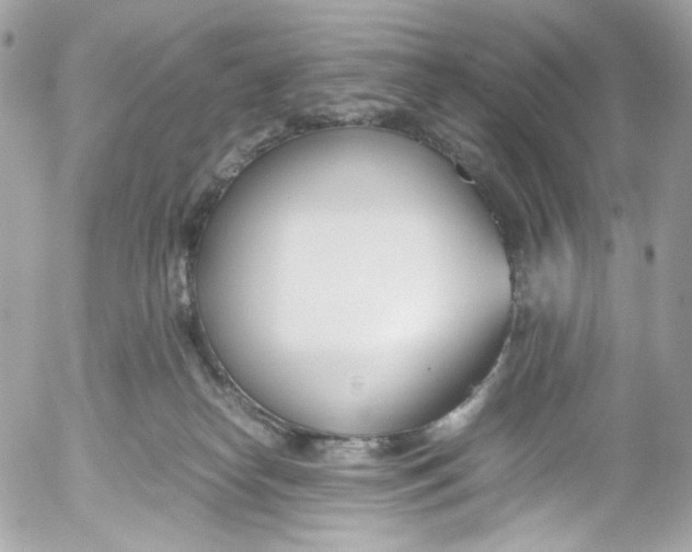 X0000052550182200507221500